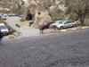 20140506_131735